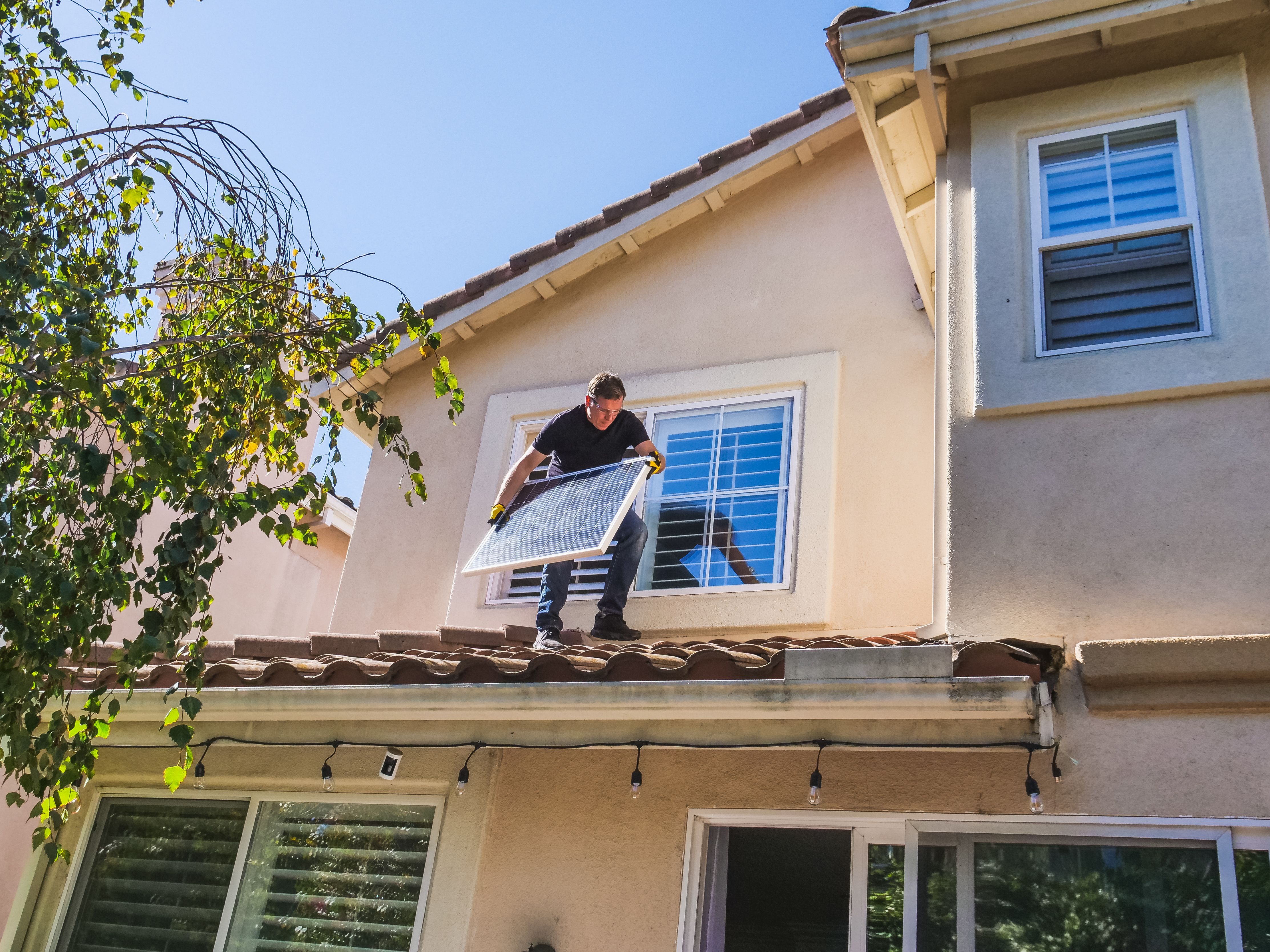 Modern windows installation showcasing quality craftsmanship